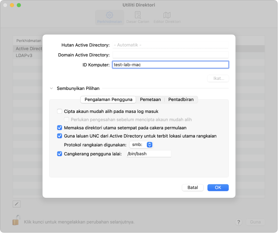 Pilihan konfigurasi Active Directory dengan bahagian pilihan lanjutan dikembangkan.