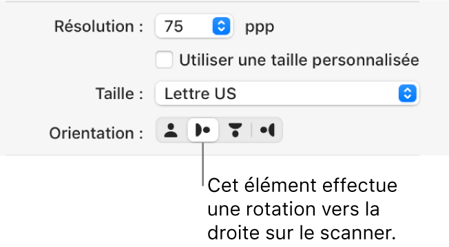 Les boutons Orientation dans la fenêtre Scanner. Un bouton en surbrillance indique qu’un élément est pivoté à droite sur le scanner.