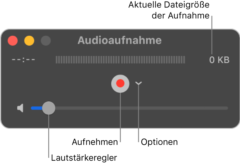 Das Fenster „Audio-Aufnahme“ mit der Aufnahmetaste und dem Einblendmenü „Optionen“ in der Mitte des Fensters sowie dem Lautstärkeregler unten