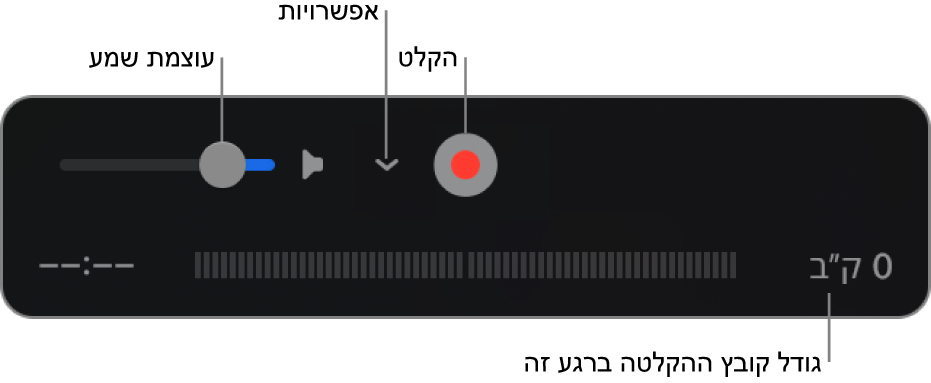 פקדי ההקלטה, כולל בקרת עוצמת הקול, הכפתור "הקלט" והתפריט הקופצני "אפשרויות".