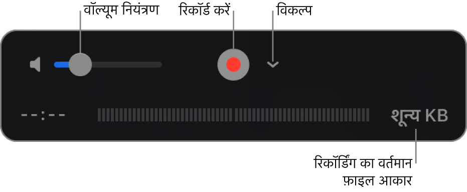 वॉल्यूम नियंत्रण, रिकॉर्ड बटन तथा विकल्प पॉप-अप मेनू वाला के साथ रिकॉर्डिंग नियंत्रण।