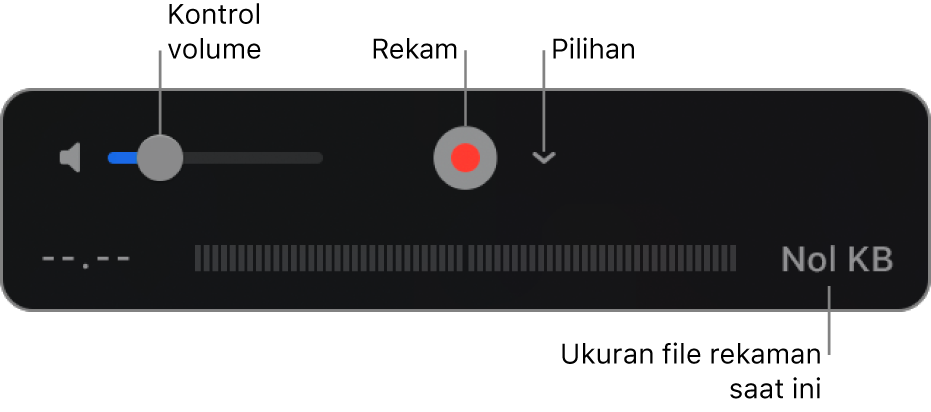 Kontrol perekaman, termasuk kontrol volume, tombol Rekam, dan menu pop-up Pilihan.