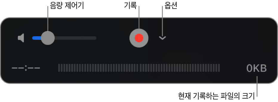 음량 제어기, 기록 버튼 및 옵션 팝업 메뉴를 포함하는 기록 제어기.