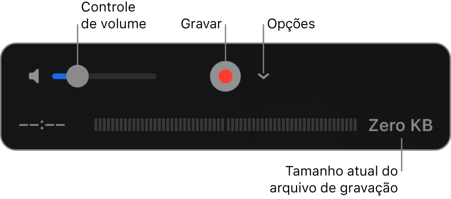 Os controlos de gravação, incluindo o controlo de volume, o botão Gravar e o menu pop-up Opções.