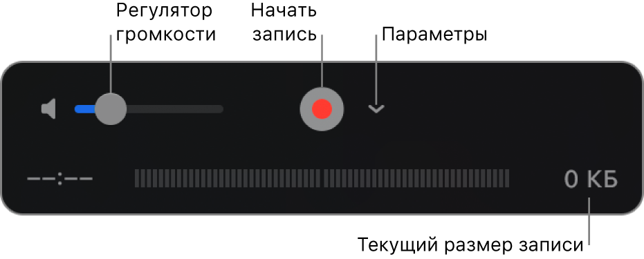 Элементы управления записью, включая регулятор громкости, кнопку «Запись» и всплывающее меню «Параметры».