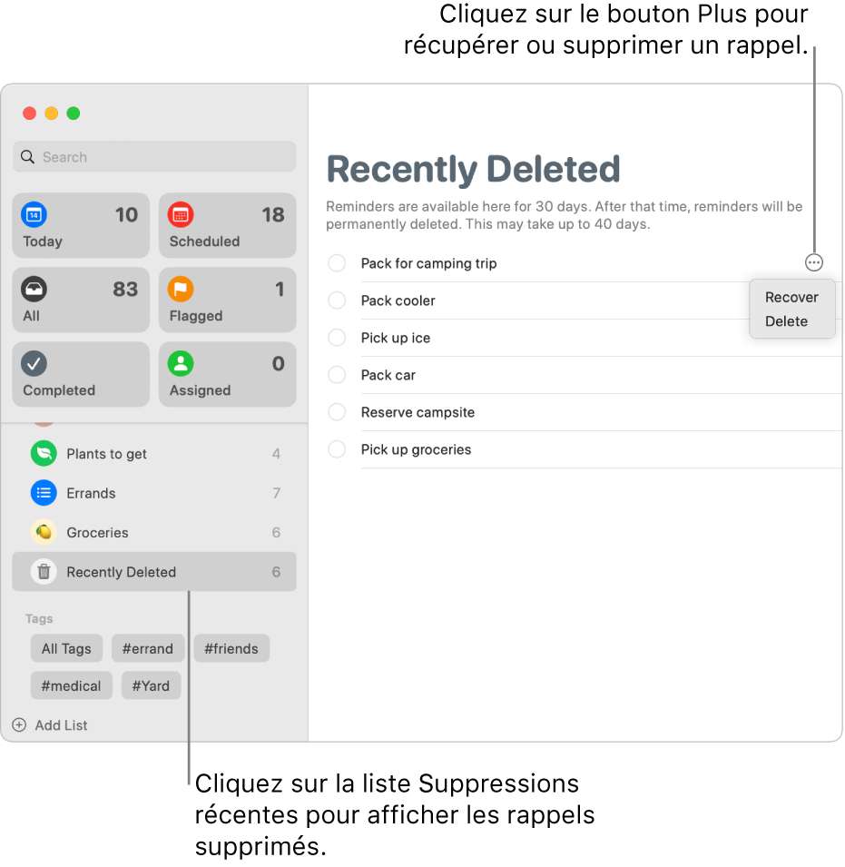 Fenêtre Rappels qui affiche la liste Suppressions récentes sélectionnée dans la barre latérale, et le bouton Plus d’un rappel qui montre les options Récupérer et Supprimer.