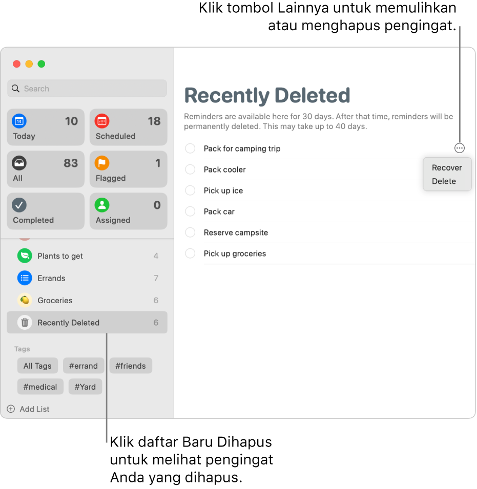 Jendela Pengingat yang menampilkan daftar Baru Dihapus yang dipilih di bar samping, dan tombol Lainnya untuk pengingat yang menampilkan pilihan Pulihkan atau Hapus.