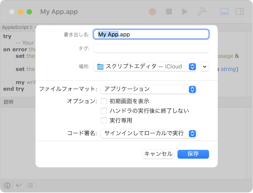 「書き出す」ダイアログ。「アプリケーション」が選択された「ファイルフォーマット」ポップアップメニュー、およびスクリプトの保存時に設定できるオプションが表示されています。