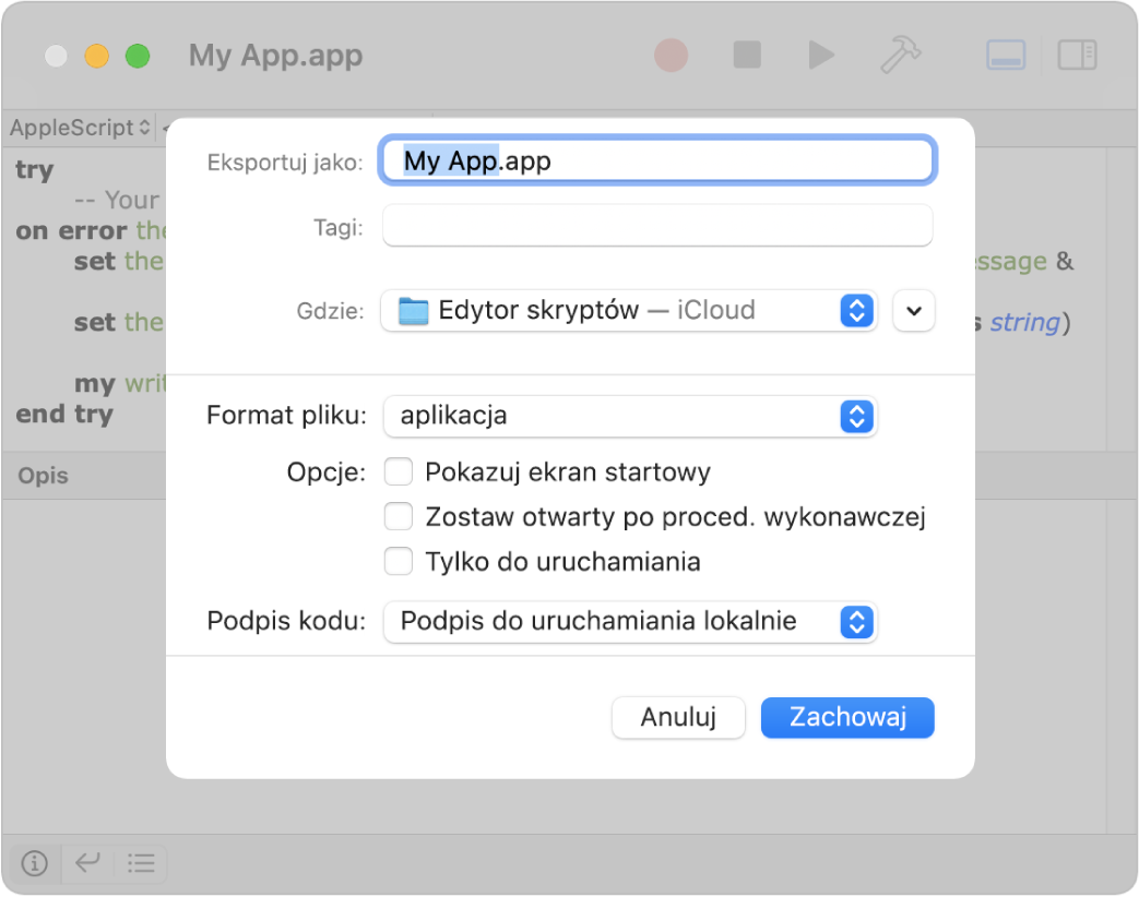 Okno dialogowe eksportowania z menu Format pliku, w którym zaznaczona jest Aplikacja oraz opcje, jakie można ustawić zachowując skrypt.