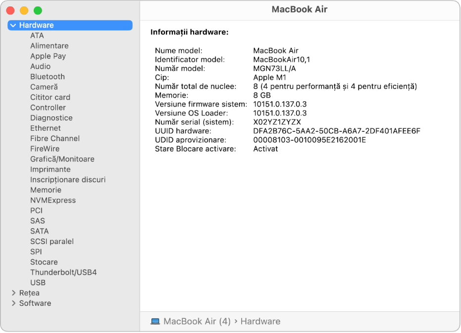 Secțiunea Informații hardware din cadrul unui raport de sistem.