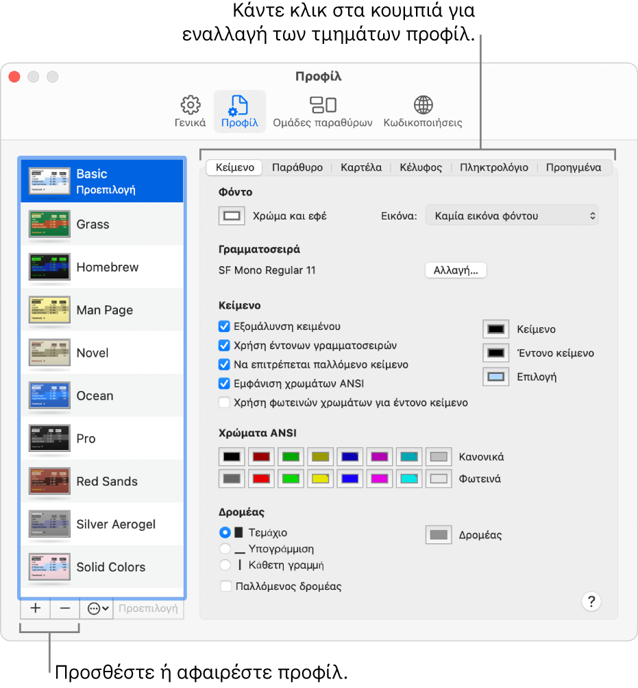 Το τμήμα «Προφίλ» του Τερματικού όπου εμφανίζονται το επιλεγμένο βασικό προφίλ, κουμπιά για προσθαφαίρεση προφίλ και τα κουμπιά που χρησιμοποιούνται για εναλλαγή των τμημάτων προφίλ.