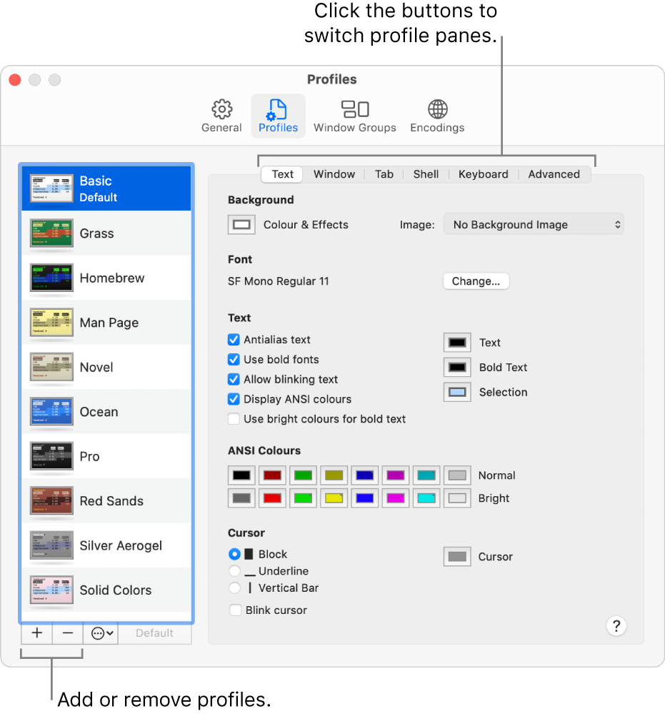 The Terminal Profiles pane showing the Basic profile selected, buttons to add and remove profiles, and the buttons used to switch profile panes.