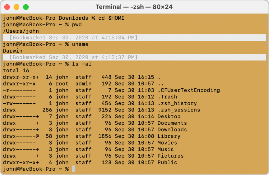 A Terminal window, showing marks and bookmarks at the left and right sides of the window, and a timestamped bookmark above a command prompt.