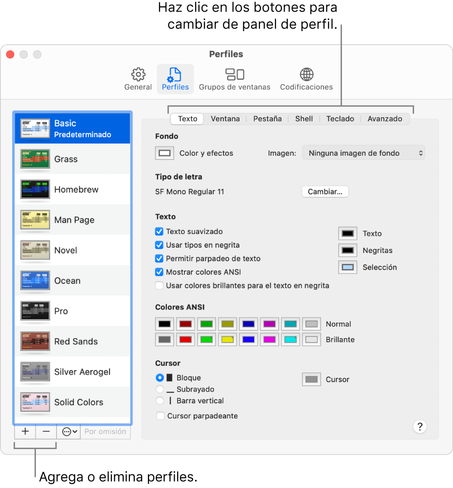 El panel de Perfiles de Terminal mostrando el perfil Básico seleccionado, los botones para agregar y eliminar perfiles y los botones usados para cambiar paneles de perfil.