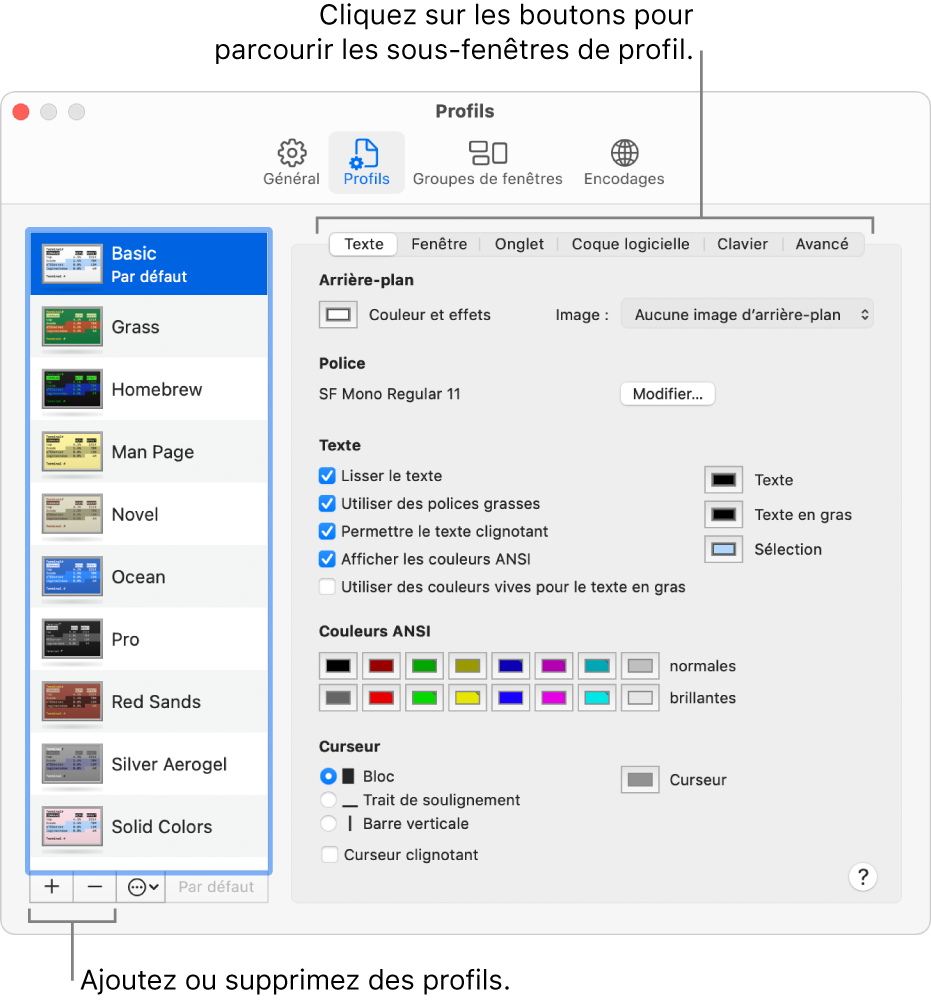 La sous-fenêtre Profils de Terminal affiche le profil de base sélectionné, des boutons pour ajouter ou retirer des profils et des boutons pour naviguer entre les sous-fenêtres de profil.