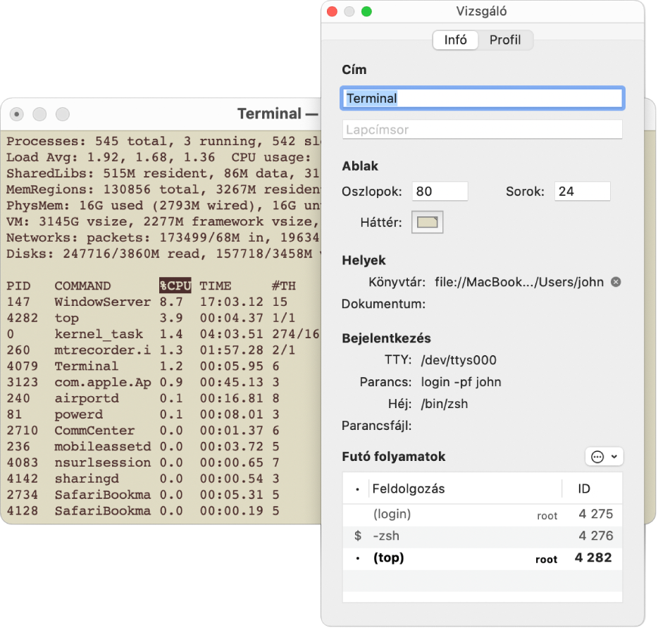 A Vizsgáló panel a Terminalban.