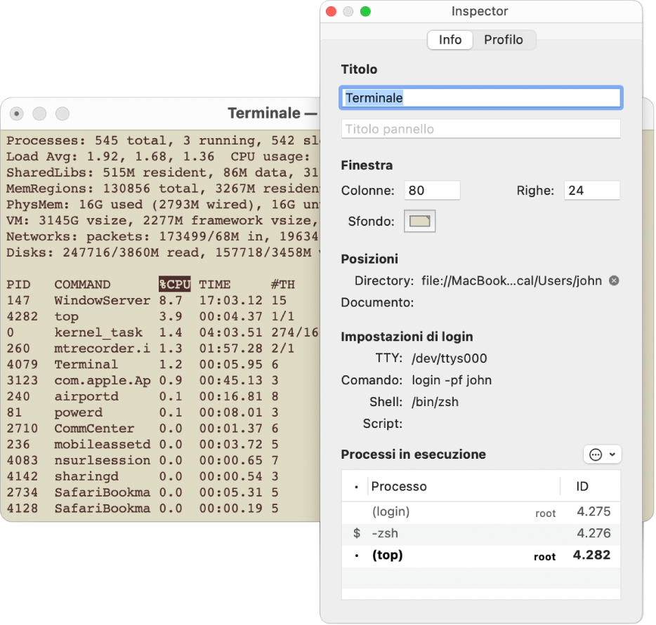 Il pannello Inspector in Terminale.