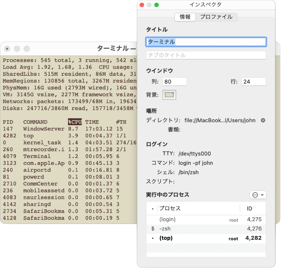 「ターミナル」の「インスペクタ」パネル。