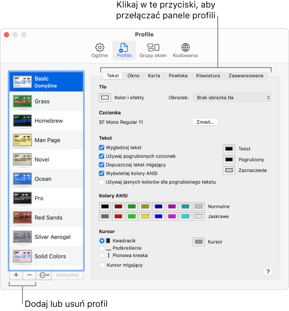 Panel Profile w preferencjach Terminala. Zaznaczony jest profil Basic. Widoczne są przyciski do dodawania i usuwania profili, a także przyciski do przełączania paneli profilu.