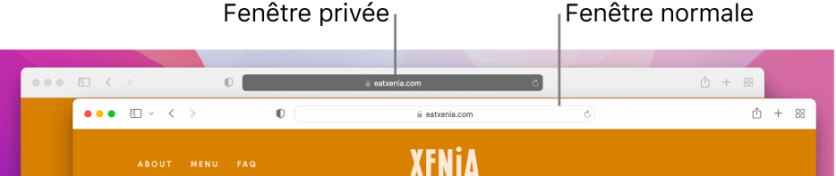 Fenêtre Safari normale sur un Mac avec son champ de recherche intelligente clair et une fenêtre Safari privée avec son champ de recherche intelligente sombre.