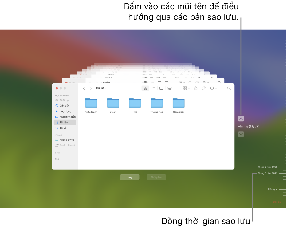 Dấu chọn trong dòng thời gian sao lưu. Dấu chọn màu đỏ cho biết bản sao lưu mà bạn đang duyệt.