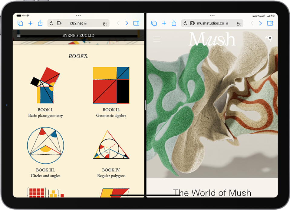 شاشة تعرض صفحتي ويب مختلفتين مقسمتين باستحدام شريط تقسيم قابل للتعديل. ويوجد في الجزء العلوي من كل صفحة ويب أيقونة عناصر التحكم في تعدد المهام.