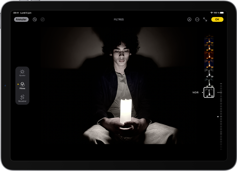 L’écran Modifier dans l’app Photos avec une photo au centre. Sur le côté gauche de l’écran se trouvent les boutons Ajuster, Filtres et Recadrer ; le bouton Filtres est sélectionné. Sur le côté droit de l’écran se trouvent les options de filtres et un curseur permettant d’ajuster le niveau de l’effet de filtre.