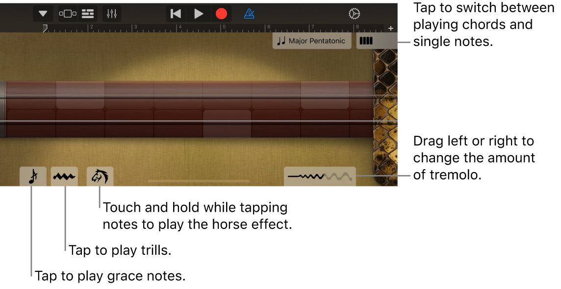 Erhu, in Notes view.