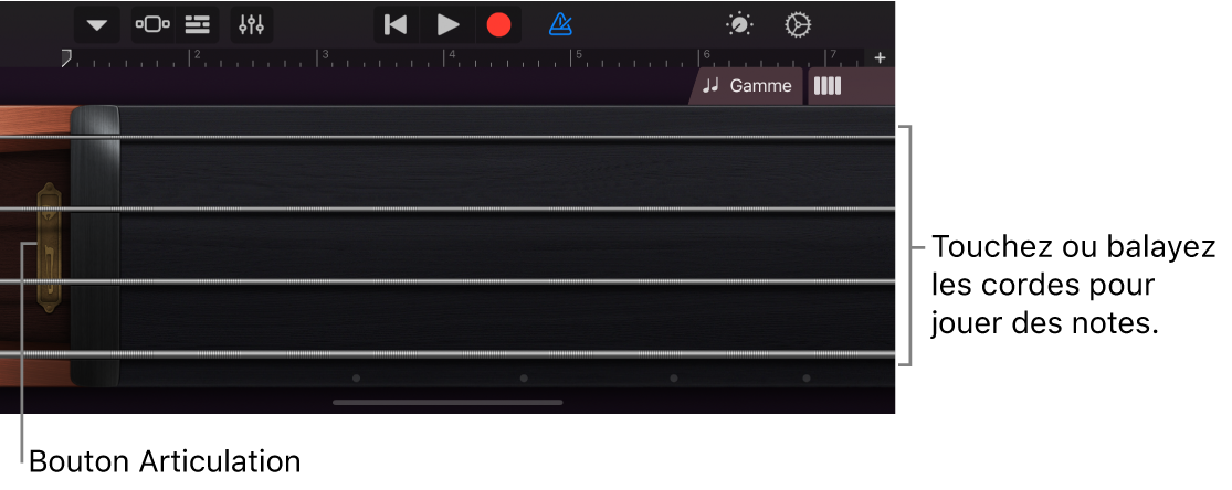 La vue Notes sur l’instrument tactile à cordes