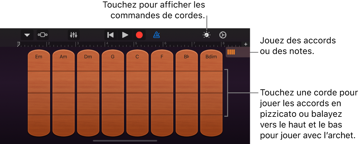 Instrument tactile cordes