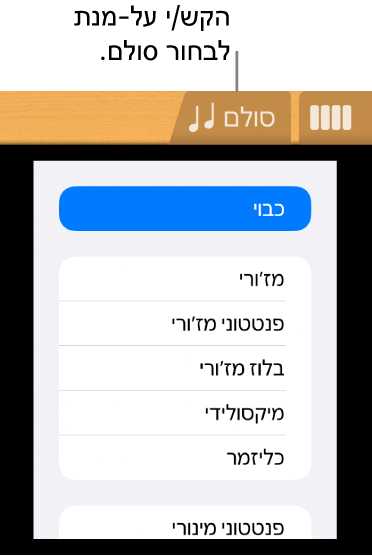 הכפתור ״סולם״ של הגיטרה