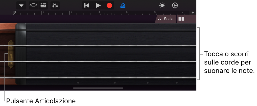 Note visualizzate sullo strumento Touch Archi