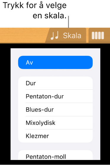 Skala-knapp for Gitar