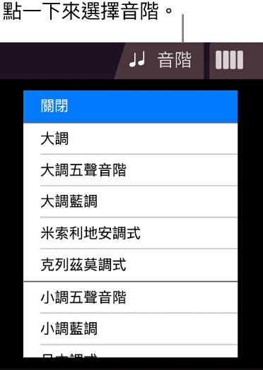 「琴弦音階」按鈕和「音階」列表