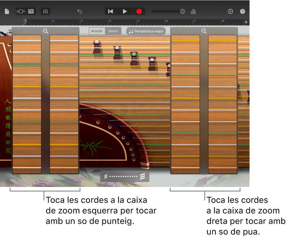 Quadres de zoom del guzheng