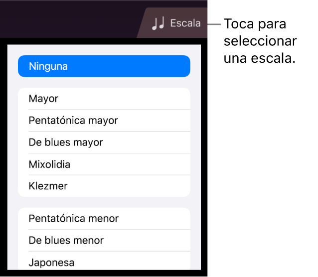 Botón Escala de Cuerdas y lista de escalas
