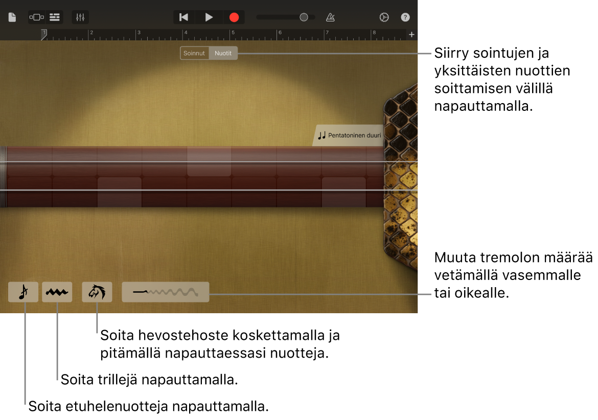 Erhu nuottinäkymässä.