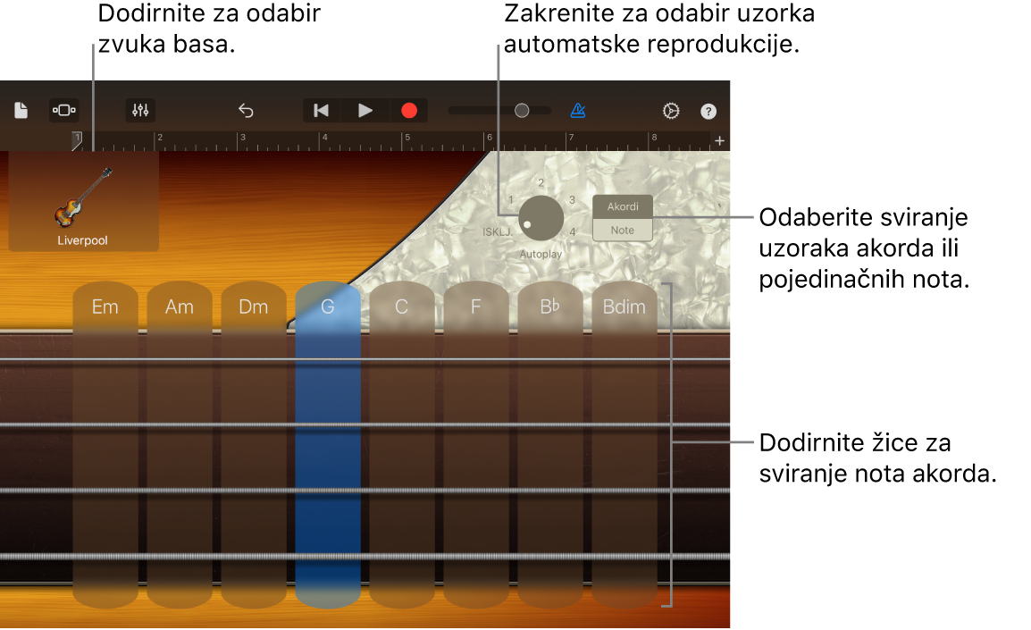 Dodirni instrument Bas