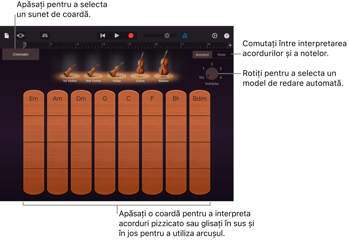 Instrument tactil Coarde