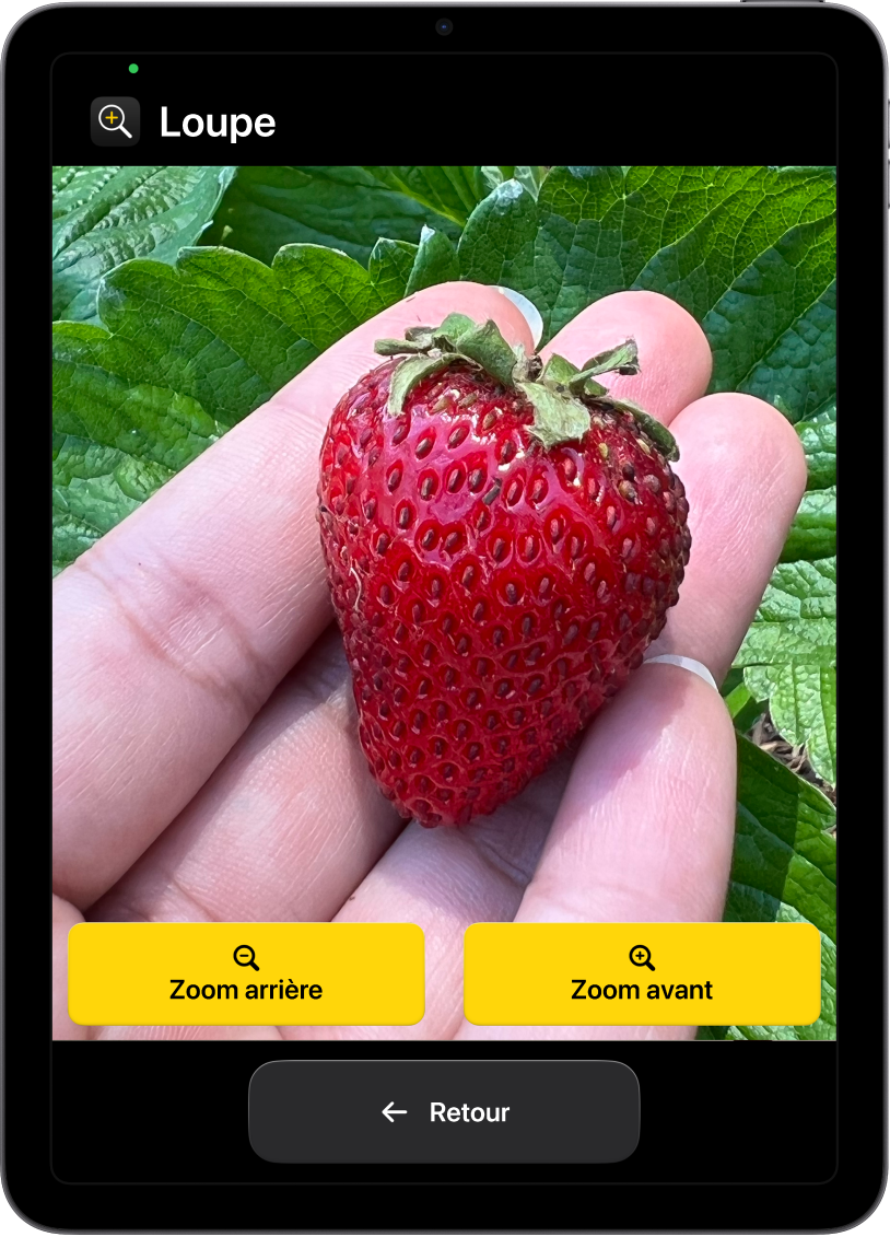 Un iPad dans Accès d’aide avec l’app Loupe ouverte. Une image en gros plan d’une main tenant une fraise occupe la majeure partie de l’écran, avec des boutons Zoom avant, Zoom arrière et Retour en bas.