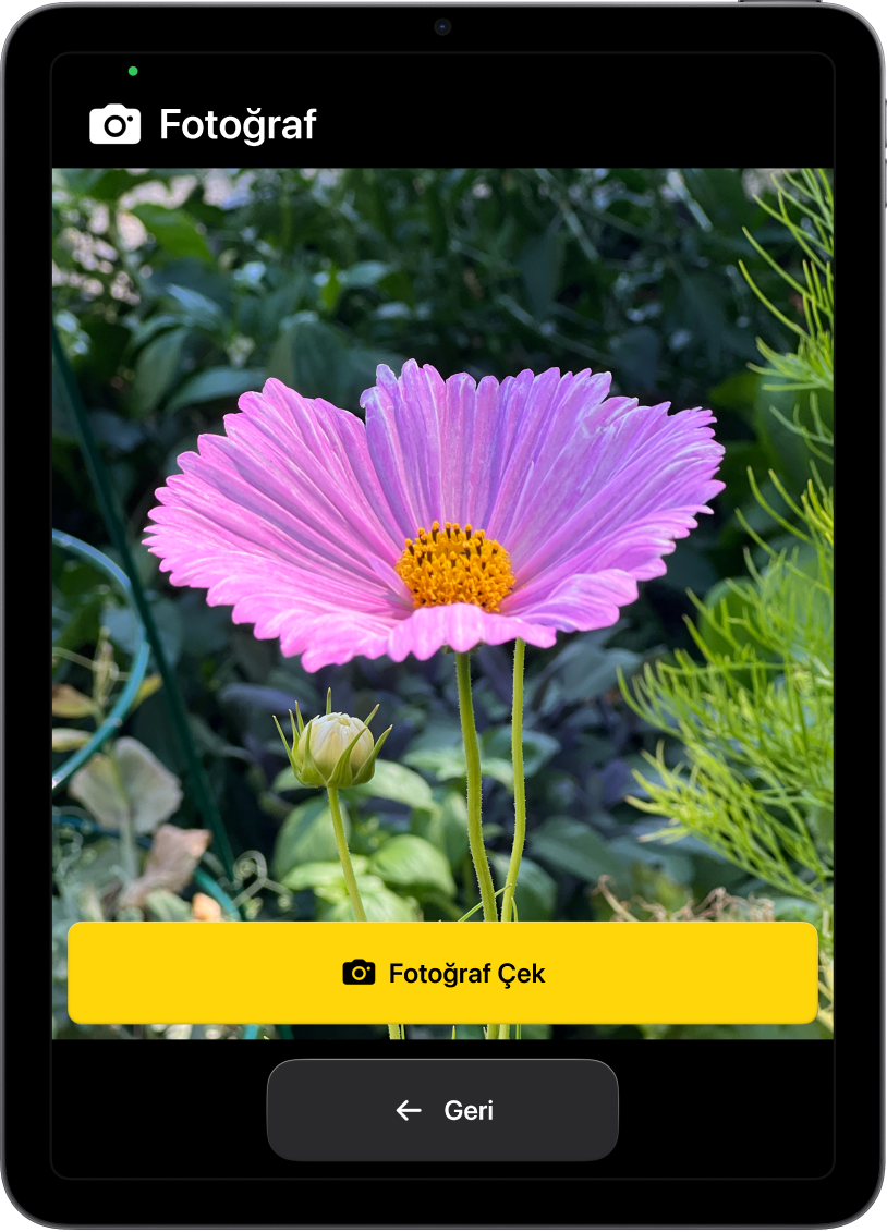 Yardımcı Erişim modundaki bir iPad’de Kamera uygulaması açık; fotoğraf çekmek için büyük bir düğme ve önceki ekrana geri gitmek için başka bir büyük düğme gösteriliyor.