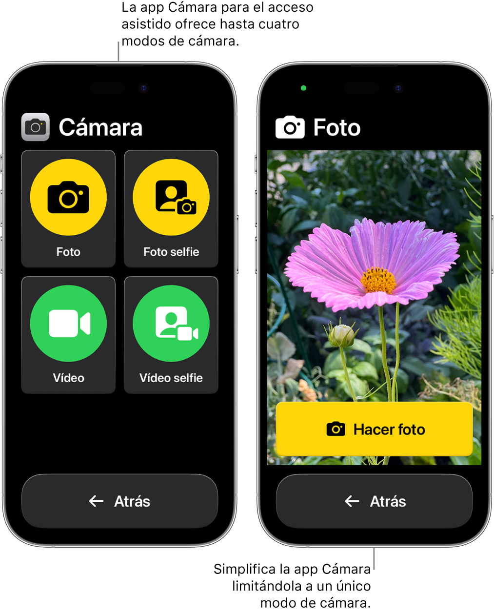 Dos pantallas de iPhone en el modo de acceso asistido. Un iPhone muestra la app Cámara con los modos de cámara que el usuario puede elegir, como Vídeo o “Foto selfie”. El otro iPhone muestra la app Cámara con un solo modo para hacer fotos.