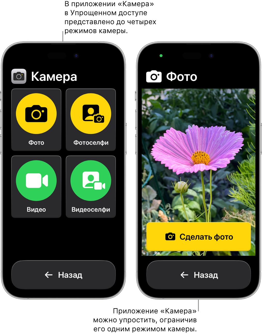 Показаны два iPhone в режиме Упрощенного доступа. На одном iPhone открыто приложение «Камера» и показаны доступные режимы камеры, например «Видеоселфи» и «Фотоселфи». На другом iPhone в приложении «Камера» показан единственный режим для съемки фото.