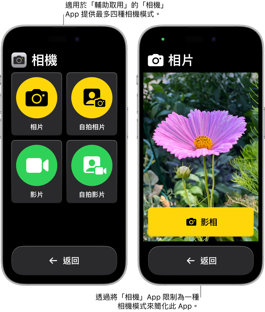 兩個處於「輔助取用」的 iPhone 畫面。一部 iPhone 顯示「相機」App，其中包括可讓用户選擇的相機模式，例如「影片」或「自拍相片」。另一部 iPhone 顯示的「相機」App 包括單一影相模式。