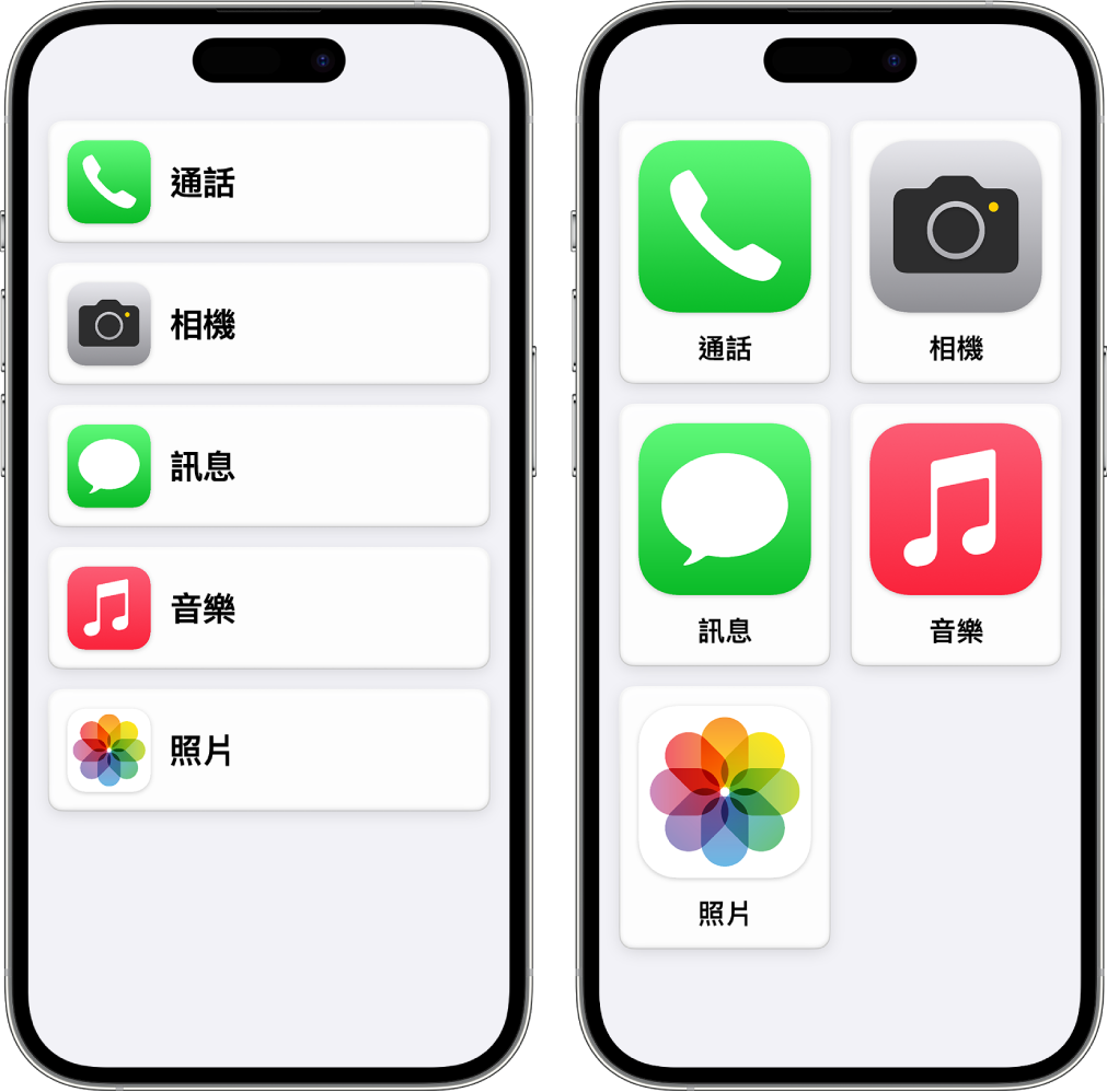 顯示「自訂輔助取用」畫面的兩部 iPhone。一部的主畫面上以橫列來列出 App。另一部顯示格狀排列的放大版 App。