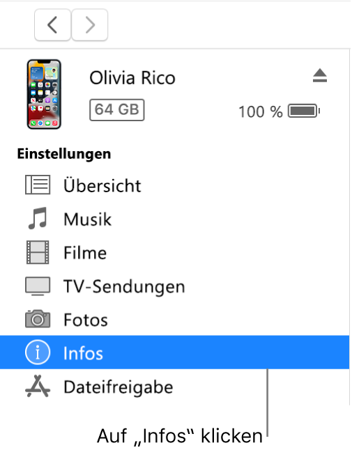 Das Fenster „Gerät“ und in der Seitenleiste ist „Info“ ausgewählt.