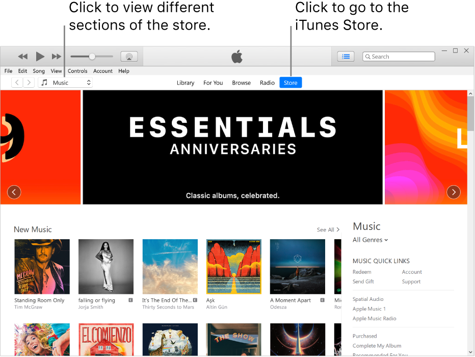 The iTunes Store main window: In the navigation bar, Store is highlighted. In the top-left corner, choose to view different content in the Store (such as Music or TV).