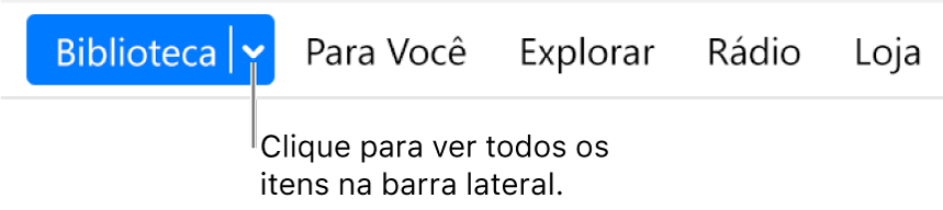 O botão Biblioteca na barra de navegação, mostrando o menu pop-up. Clique nele para acessar todos os itens da barra lateral quando você ocultar a barra lateral.