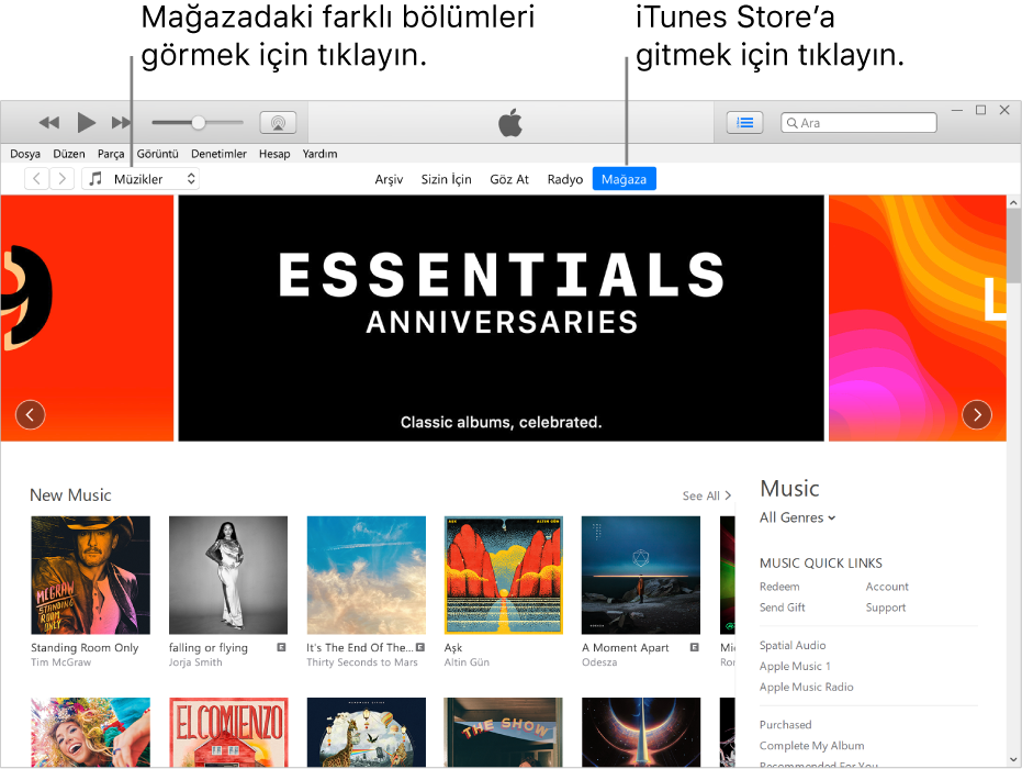 iTunes Store ana penceresi: Gezinme çubuğunda Store vurgulanır. Sol üst köşede Store’da görüntülenmesini istediğiniz farklı içerikleri (Müzik veya TV gibi) görüntülemeyi seçin.