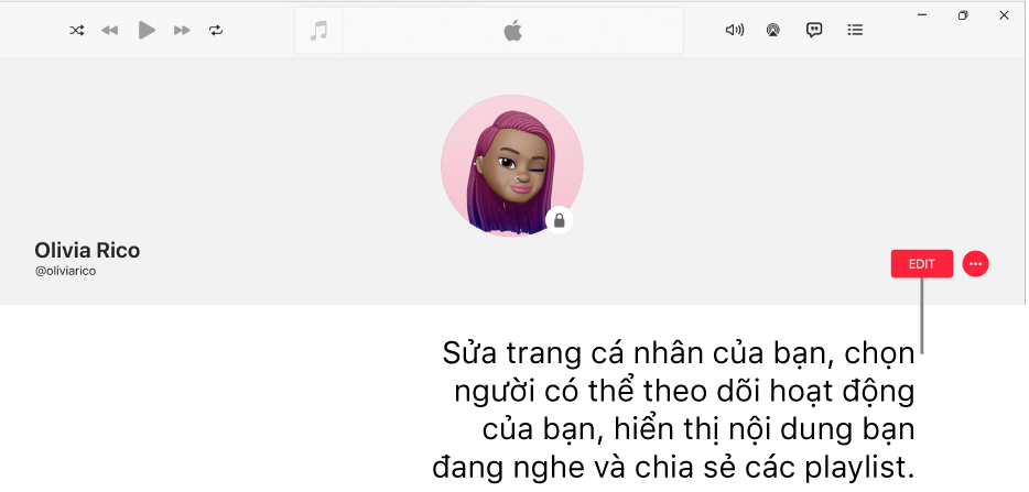 Trang trang cá nhân trên Apple Music: ở bên phải của cửa sổ là nút Sửa, bạn có thể chọn nút này để sửa trang cá nhân, chọn những người có thể theo dõi hoạt động của bạn, hiển thị nội dung mà bạn đang nghe và chia sẻ các playlist.